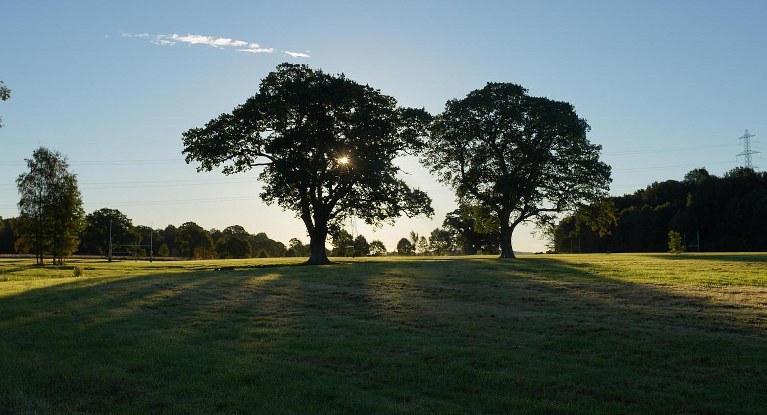 Strathallan's Eco-School