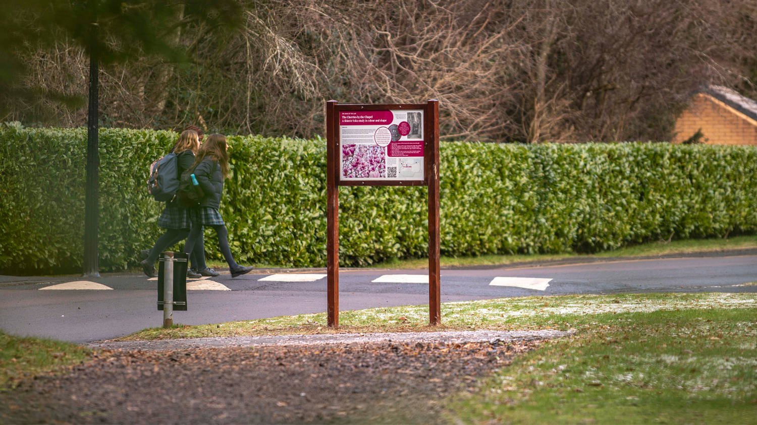 Wild Walks for Wellbeing spring up at Strathallan