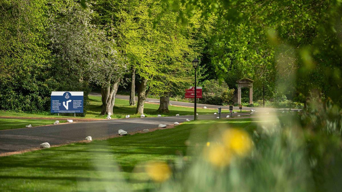 The True Cost of Reducing Choices in Schools 