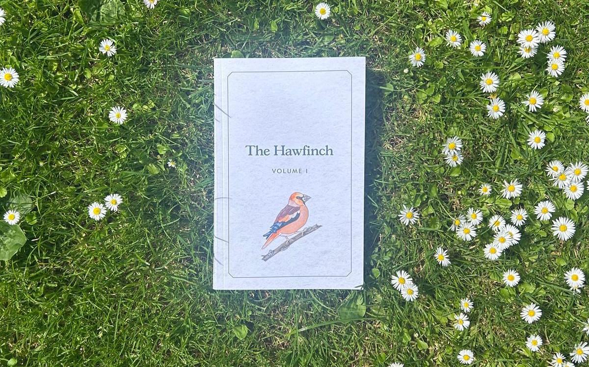 The Hawfinch: Hot off the Press