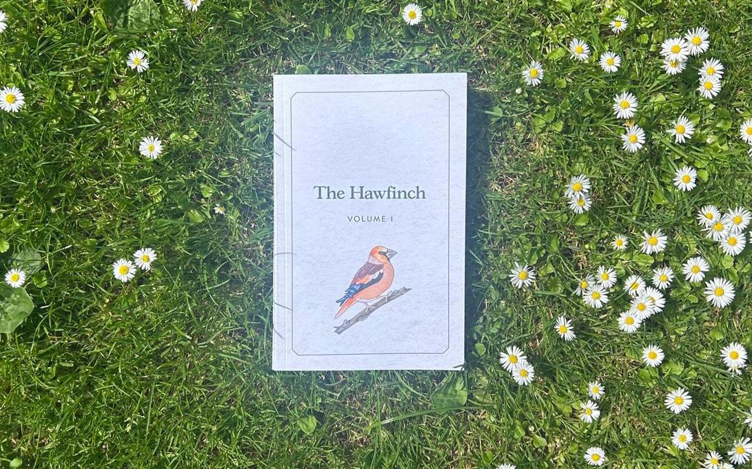 The Hawfinch: Hot off the Press
